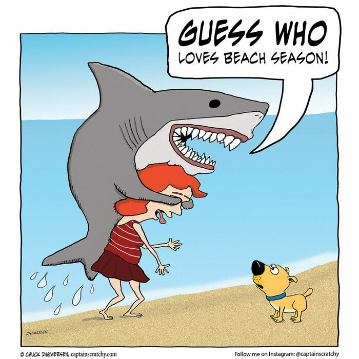 40 New Captain Scratchy Comics That Prove Animals Are Comedy Gold
