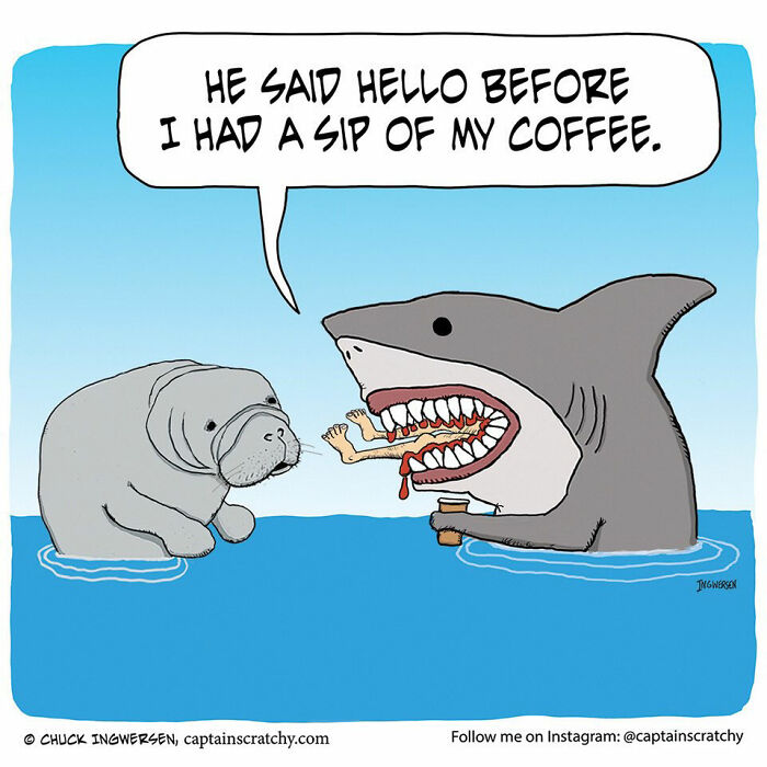 40 New Captain Scratchy Comics That Prove Animals Are Comedy Gold