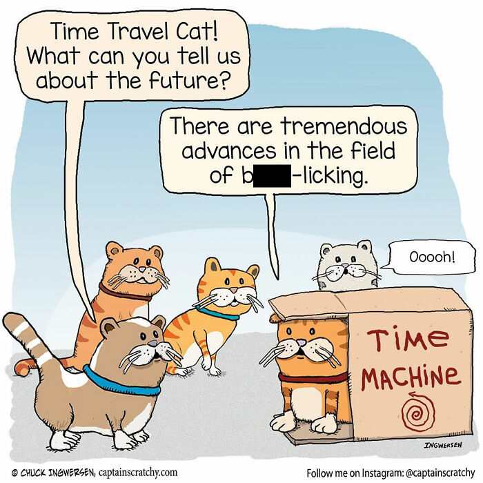 40 New Captain Scratchy Comics That Prove Animals Are Comedy Gold