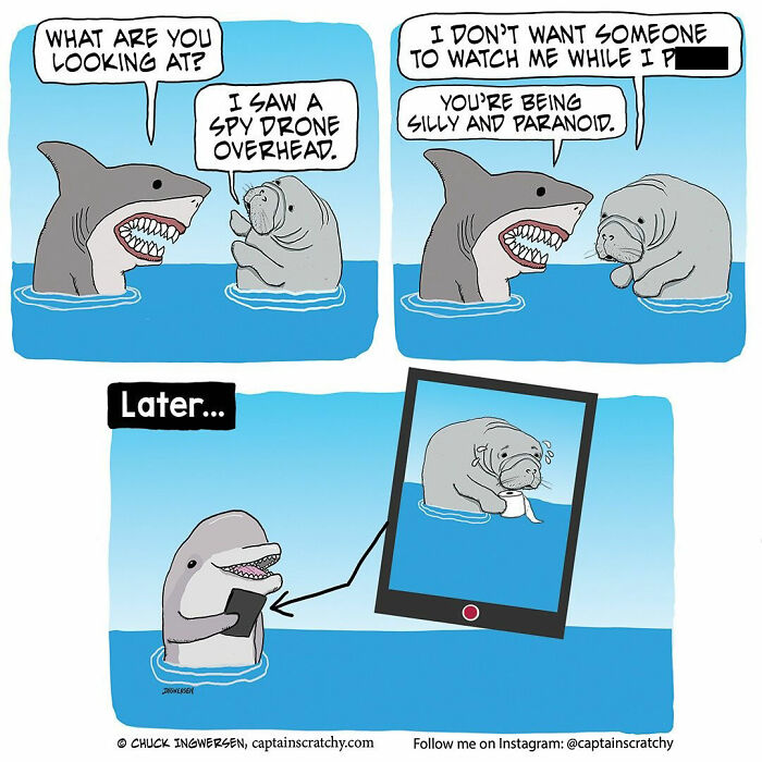 40 New Captain Scratchy Comics That Prove Animals Are Comedy Gold