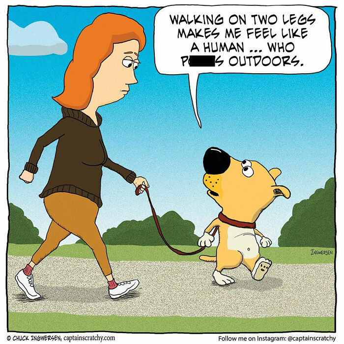 40 New Captain Scratchy Comics That Prove Animals Are Comedy Gold