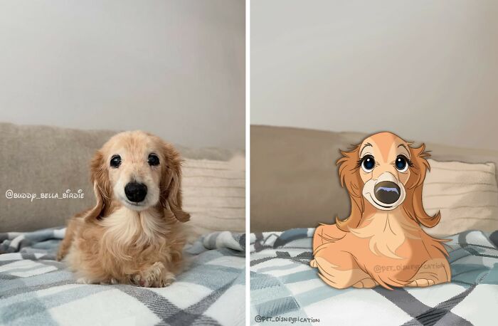 People Keep Sending Their Pets to This Artist Who Turns Them Into Disney Magic (28 New Pics!)