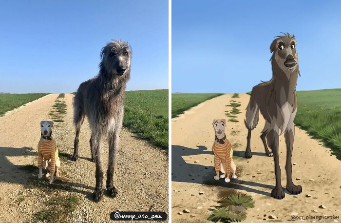 People Keep Sending Their Pets to This Artist Who Turns Them Into Disney Magic (28 New Pics!)