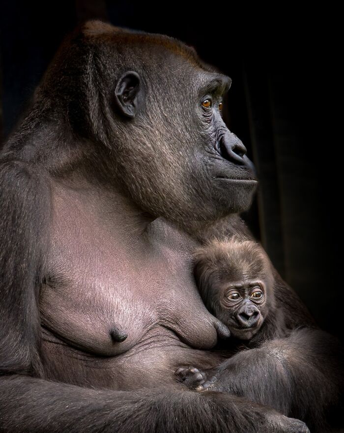 Honorable Mention: Bound By Care