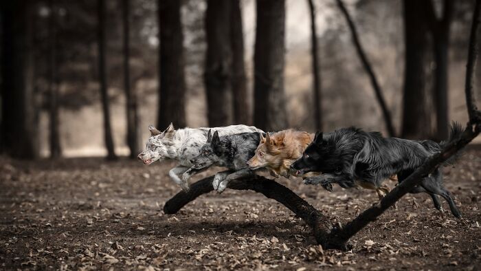 Honorable Mention: Running As One