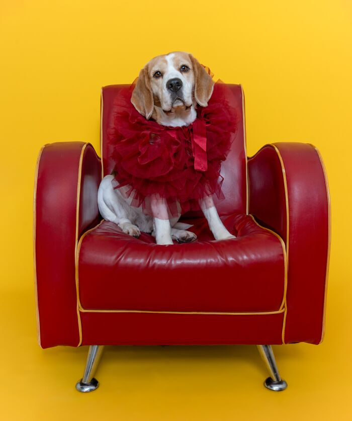 People’s Vote Award: My Chair