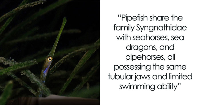 27 Science Snapshots That Will Blow Your Mind (No Lab Coat Needed)