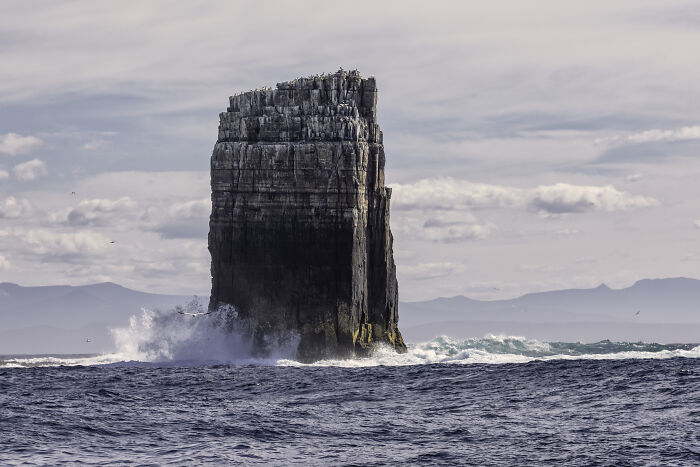 Tower Rock’s Seaside Squad By Jenny Schorta