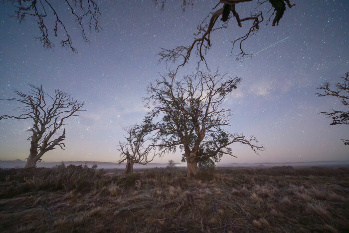 Ancient Gums and Space Junk Drama By Ben Alldridge