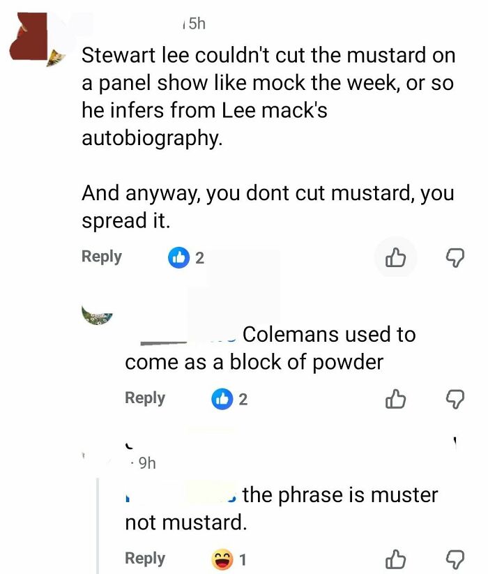 Oops, They Tried to Correct Someone and Totally Failed! Here Are 73 Hilarious Self-Burns