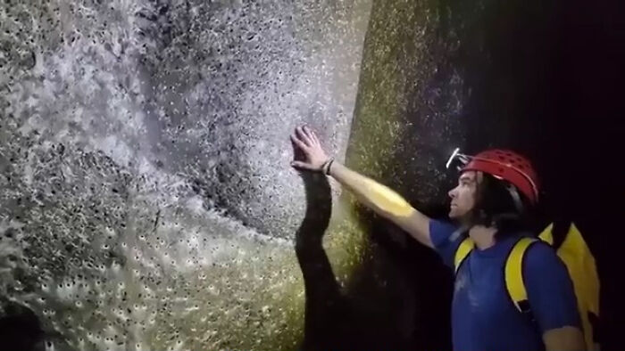 Oops! People Touched the Stuff They Definitely Shouldn't Have