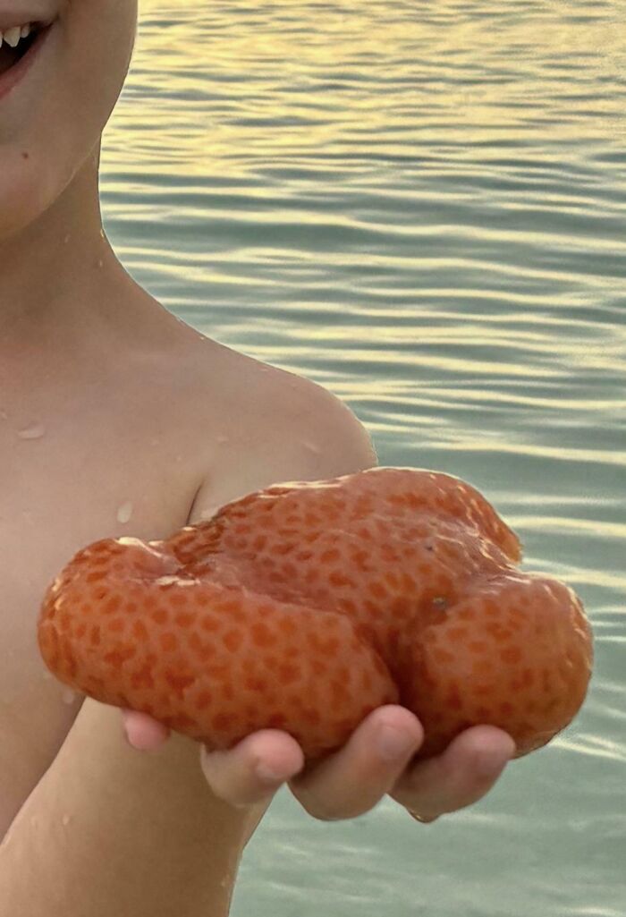 Oops! People Touched the Stuff They Definitely Shouldn't Have