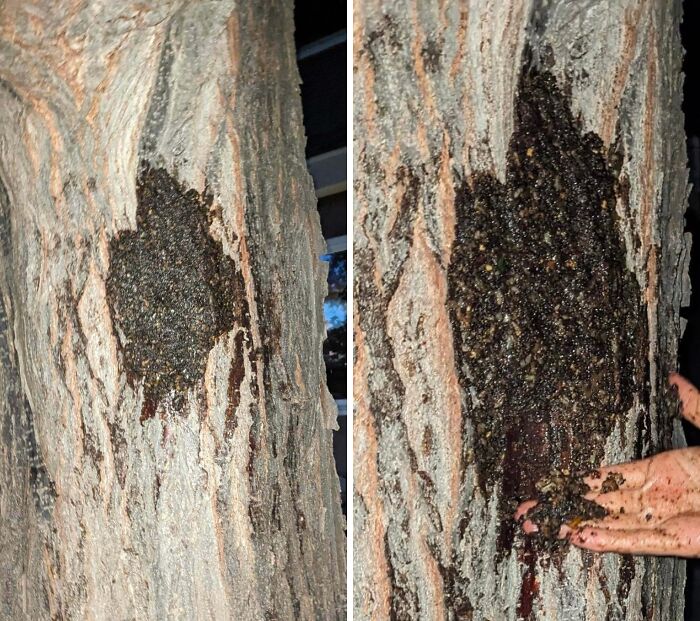 Oops! People Touched the Stuff They Definitely Shouldn't Have