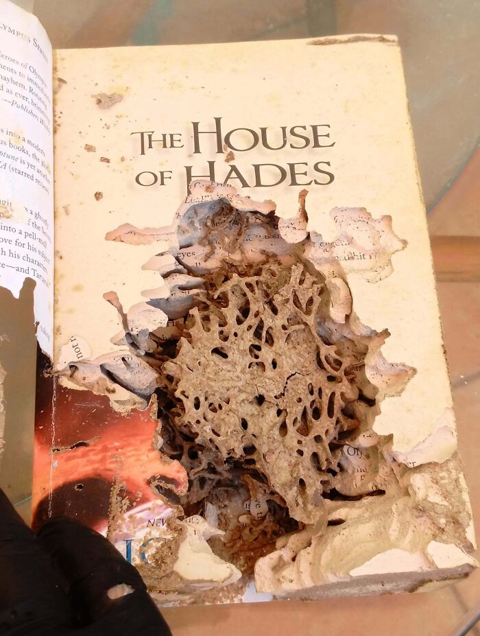 Oops! People Touched the Stuff They Definitely Shouldn't Have