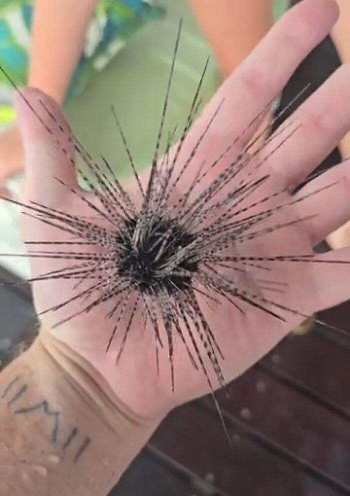 Oops! People Touched the Stuff They Definitely Shouldn't Have