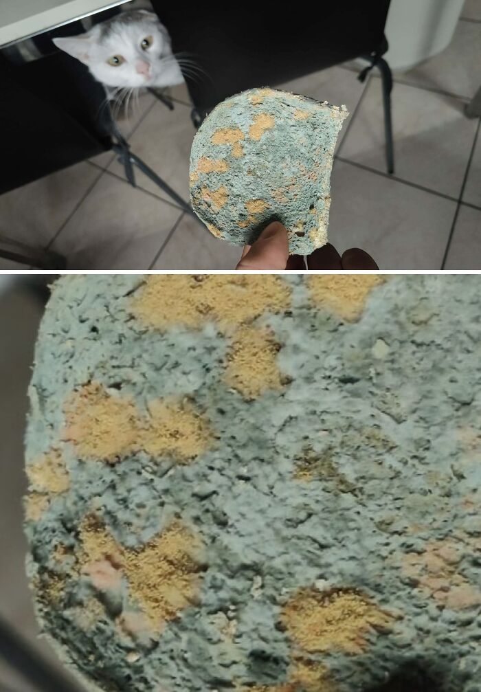 Oops! People Touched the Stuff They Definitely Shouldn't Have