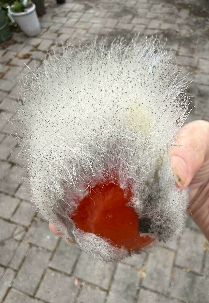 Oops! People Touched the Stuff They Definitely Shouldn't Have