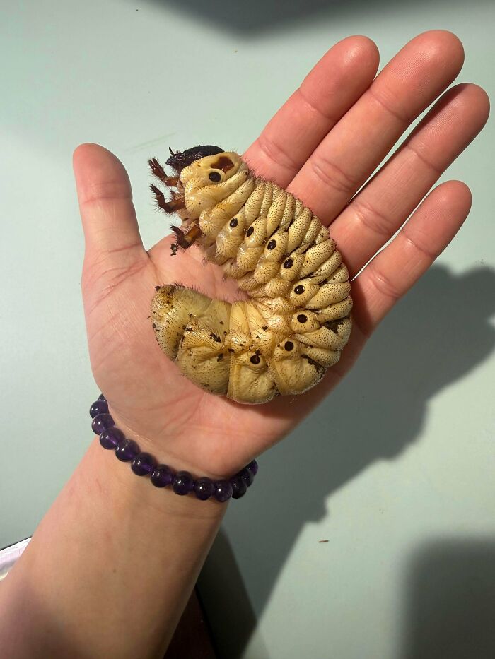 Oops! People Touched the Stuff They Definitely Shouldn't Have