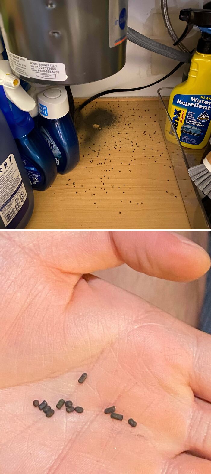 Oops! People Touched the Stuff They Definitely Shouldn't Have