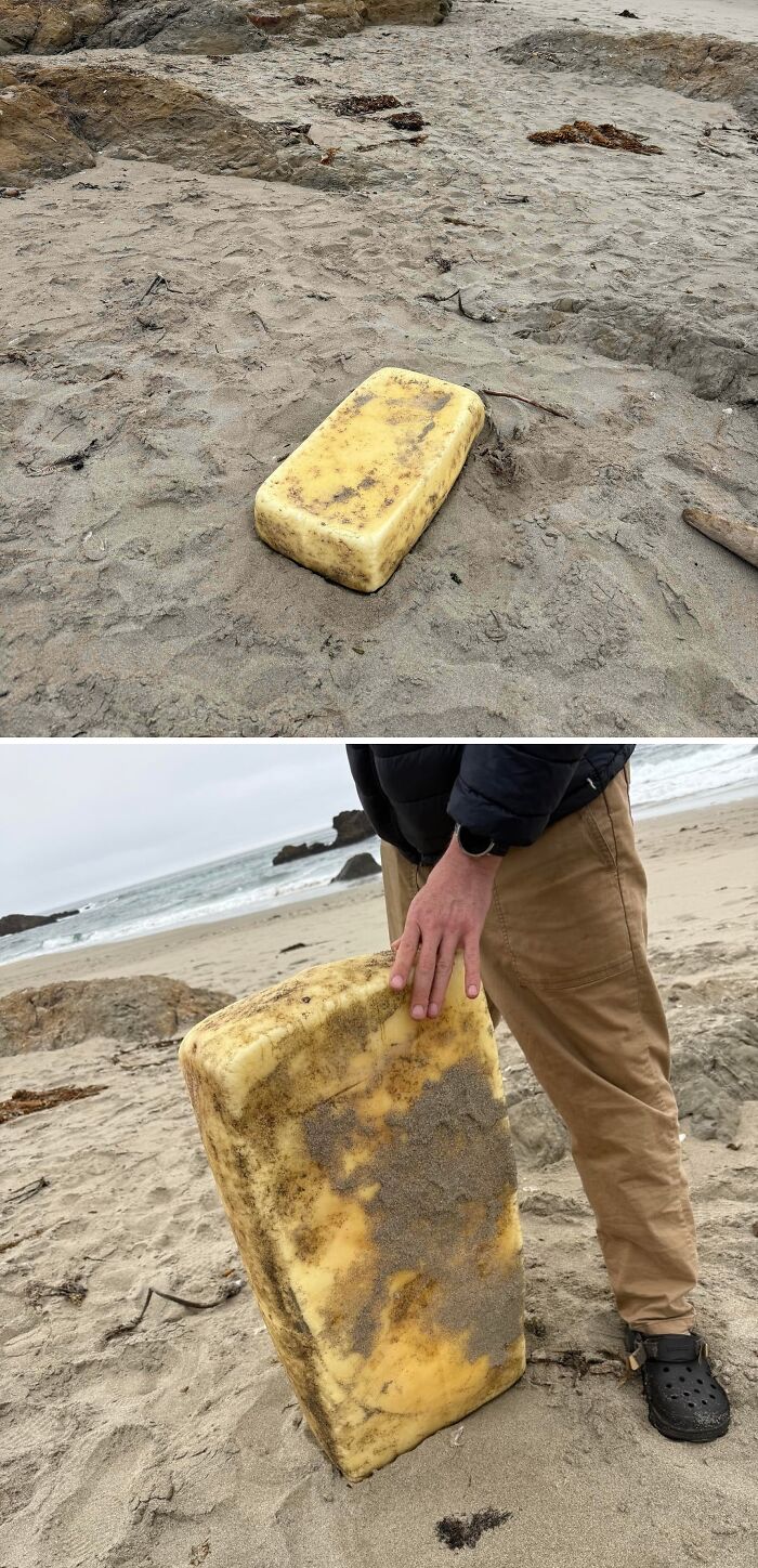 Oops! People Touched the Stuff They Definitely Shouldn't Have