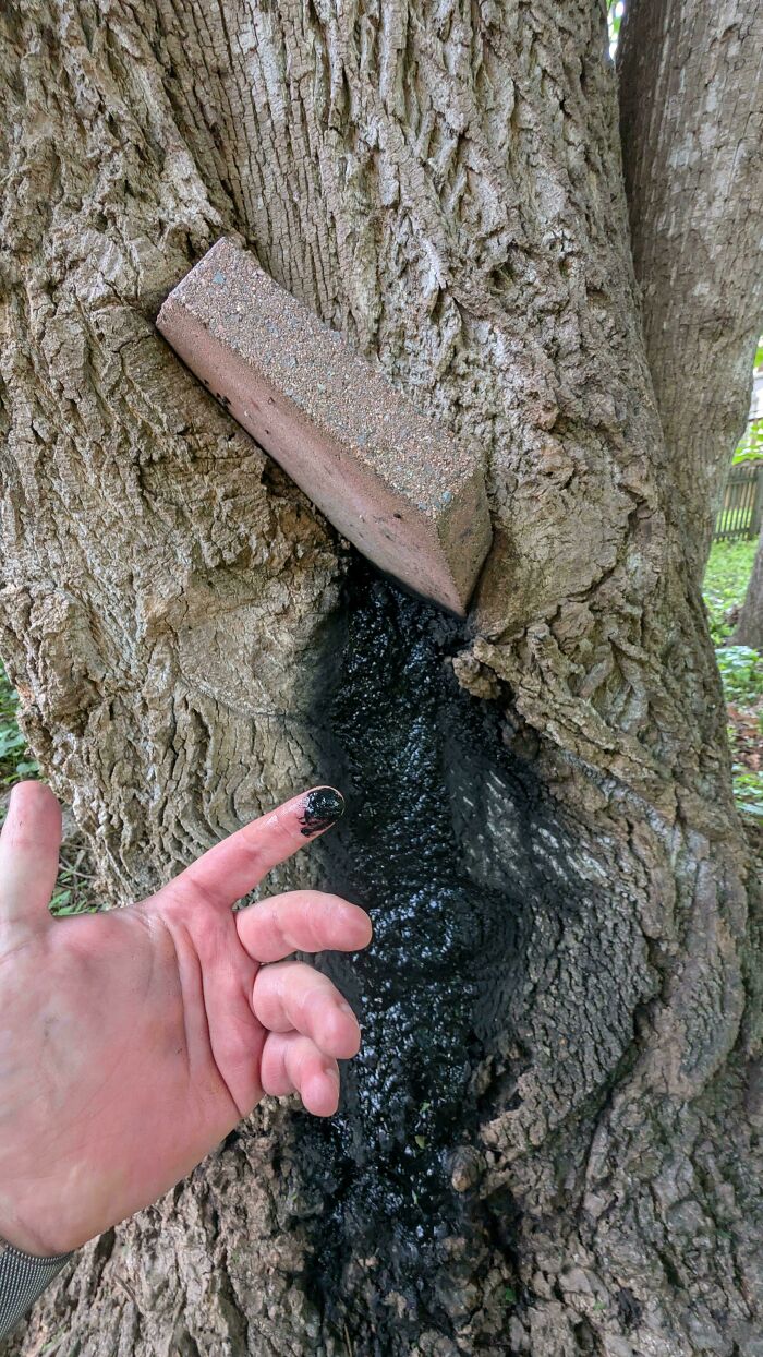 Oops! People Touched the Stuff They Definitely Shouldn't Have