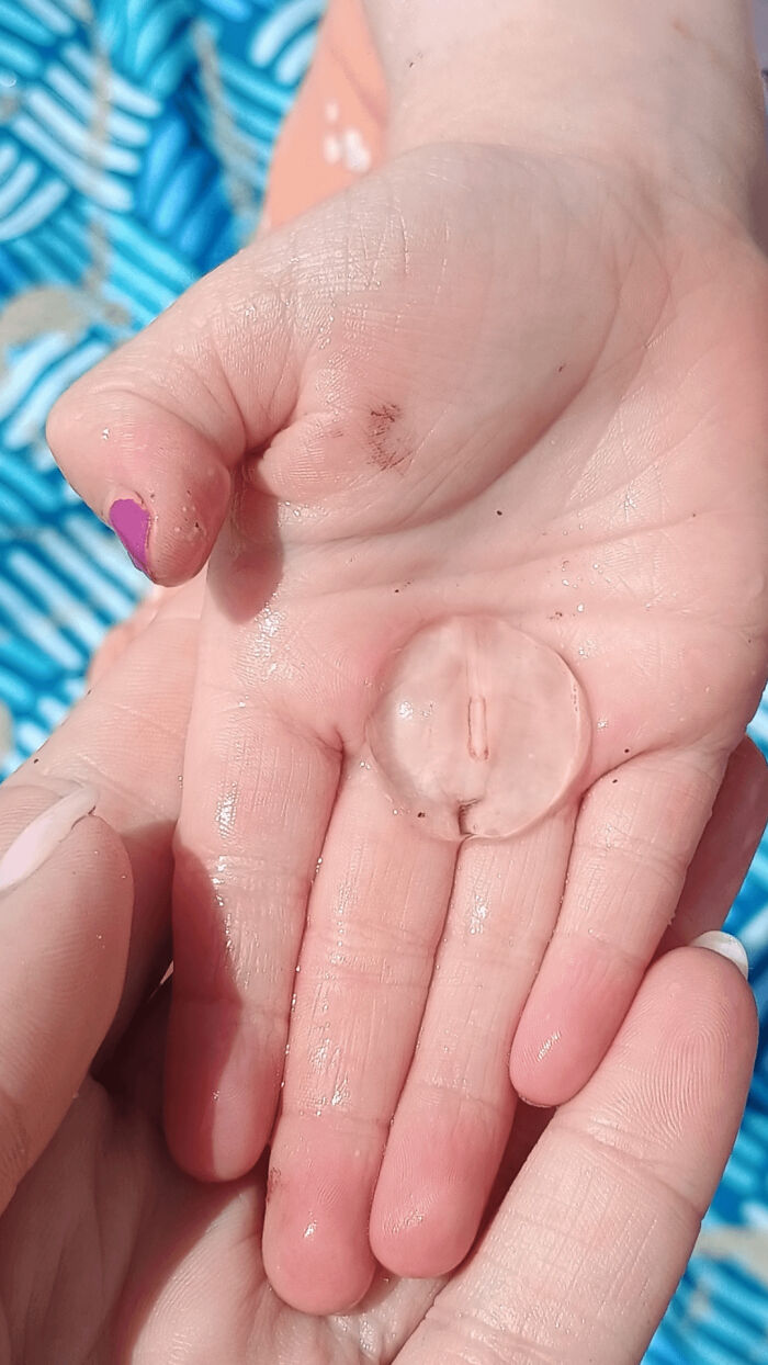 Oops! People Touched the Stuff They Definitely Shouldn't Have