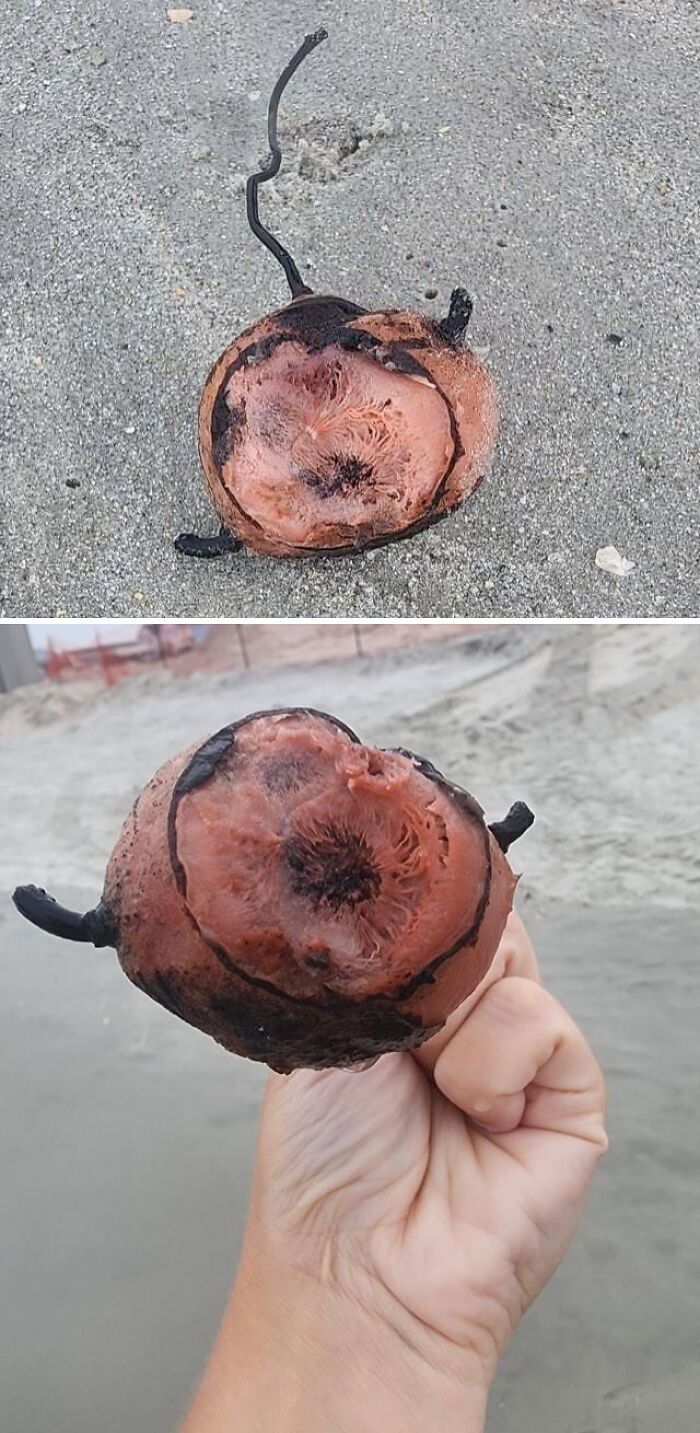 Oops! People Touched the Stuff They Definitely Shouldn't Have