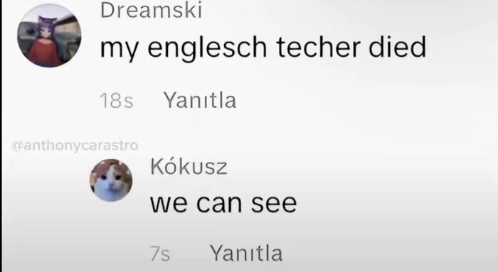 Wait, TikTok Comments Are This Hilarious? Yep, We’ve Got the Best!