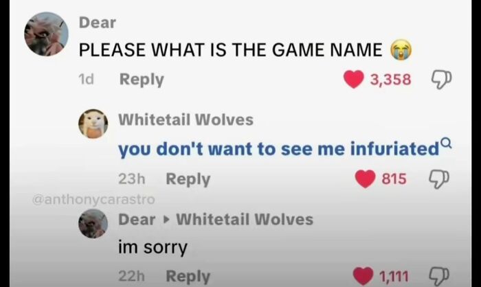 Wait, TikTok Comments Are This Hilarious? Yep, We’ve Got the Best!
