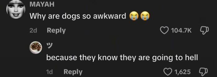 Wait, TikTok Comments Are This Hilarious? Yep, We’ve Got the Best!