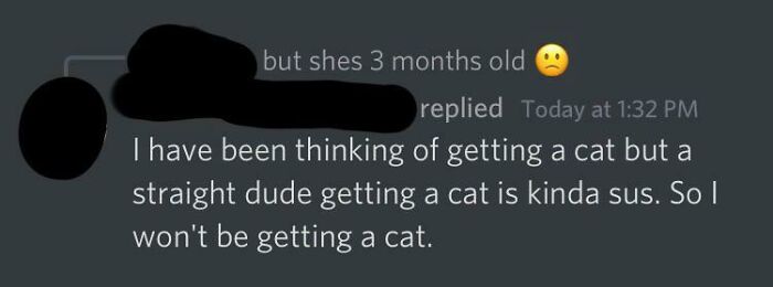 Cats Are Now The Ultimate Alpha Test?
