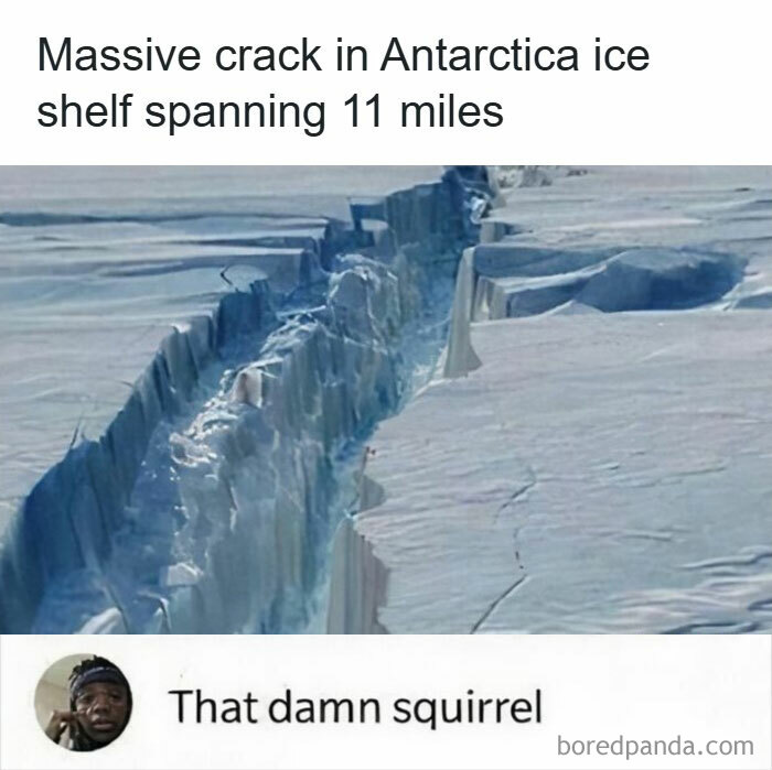 31 Chaos-Inducing Memes That’ll Make You Laugh Way Too Hard