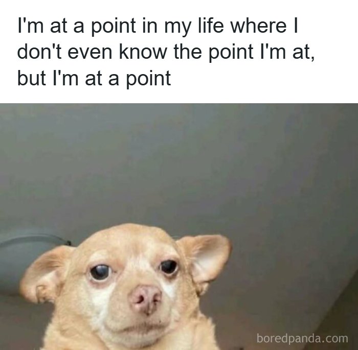31 Chaos-Inducing Memes That’ll Make You Laugh Way Too Hard