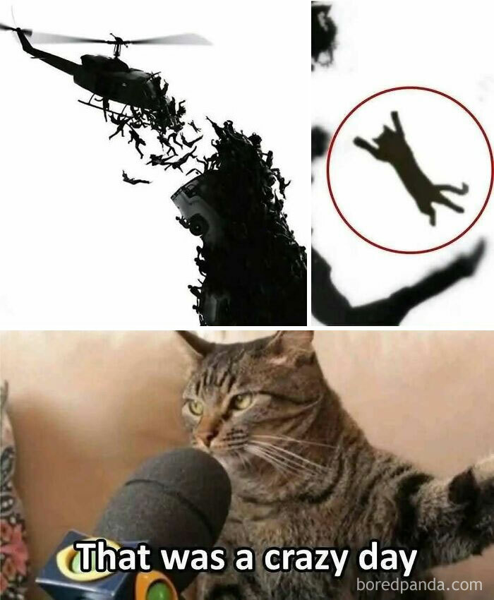 31 Chaos-Inducing Memes That’ll Make You Laugh Way Too Hard