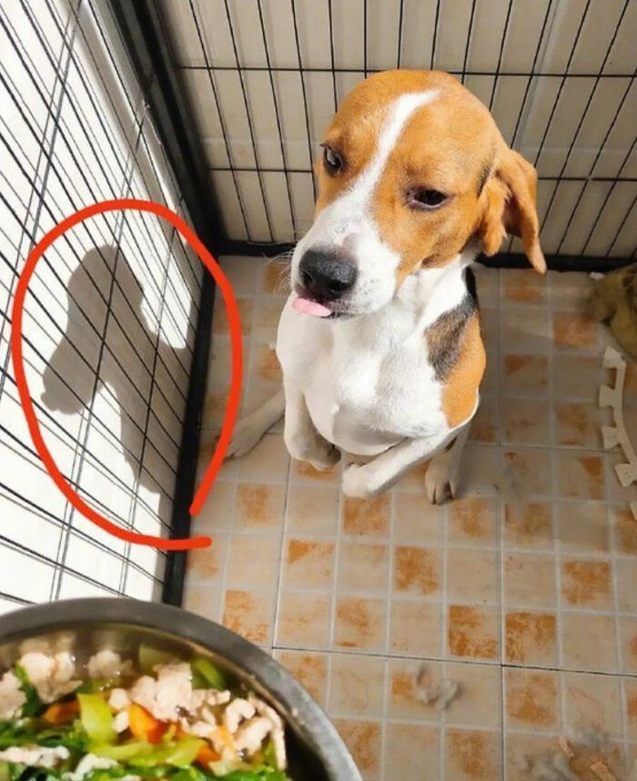 Ready for a Wild Scroll? Check Out These Weird and Wacky Pics!
