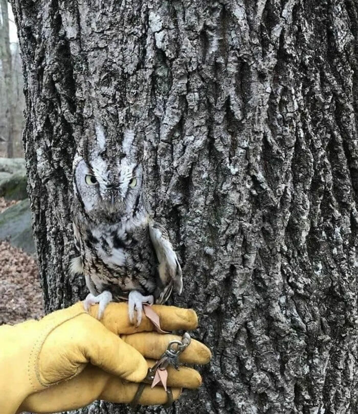 Ready for a Wild Scroll? Check Out These Weird and Wacky Pics!