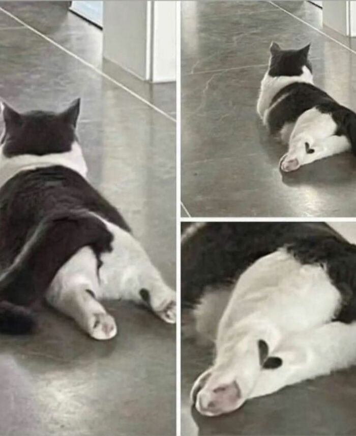 Ready for a Wild Scroll? Check Out These Weird and Wacky Pics!