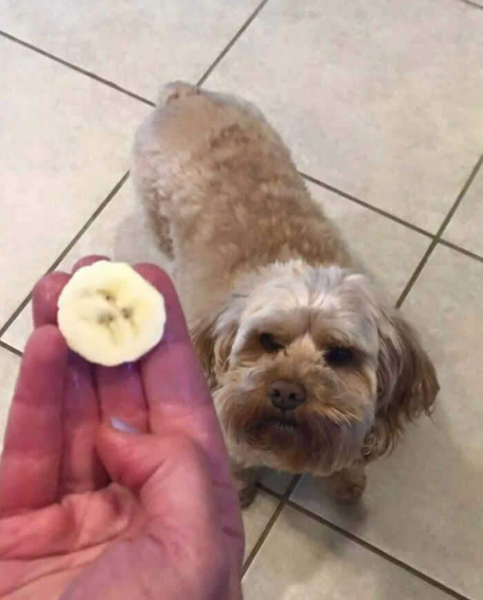 Ready for a Wild Scroll? Check Out These Weird and Wacky Pics!