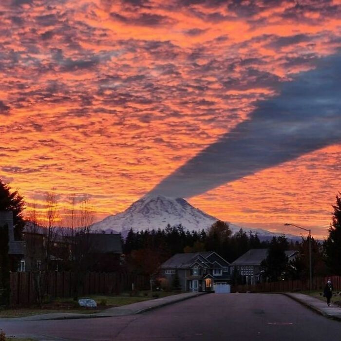 Ready for a Wild Scroll? Check Out These Weird and Wacky Pics!