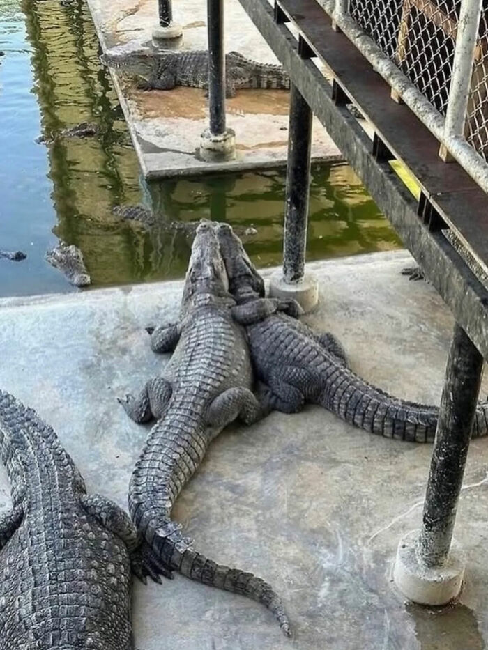 Ready for a Wild Scroll? Check Out These Weird and Wacky Pics!