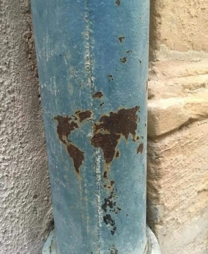 Ready for a Wild Scroll? Check Out These Weird and Wacky Pics!