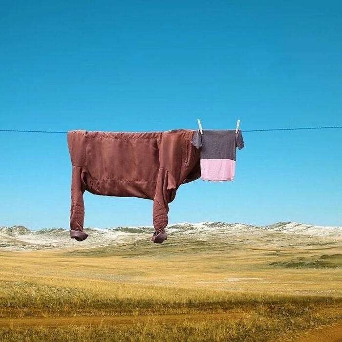 Ready for a Wild Scroll? Check Out These Weird and Wacky Pics!