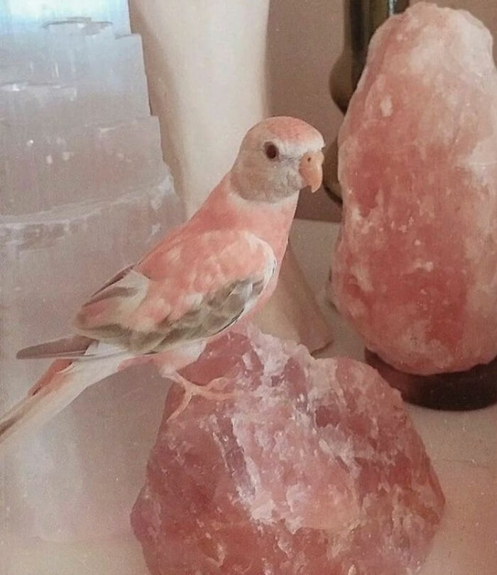 Ready for a Wild Scroll? Check Out These Weird and Wacky Pics!