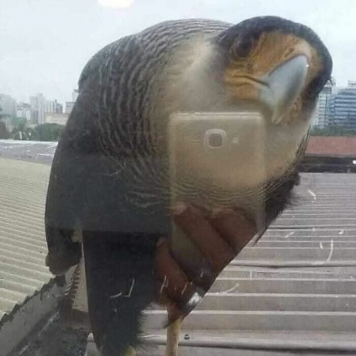 Ready for a Wild Scroll? Check Out These Weird and Wacky Pics!