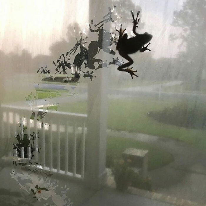 Ready for a Wild Scroll? Check Out These Weird and Wacky Pics!