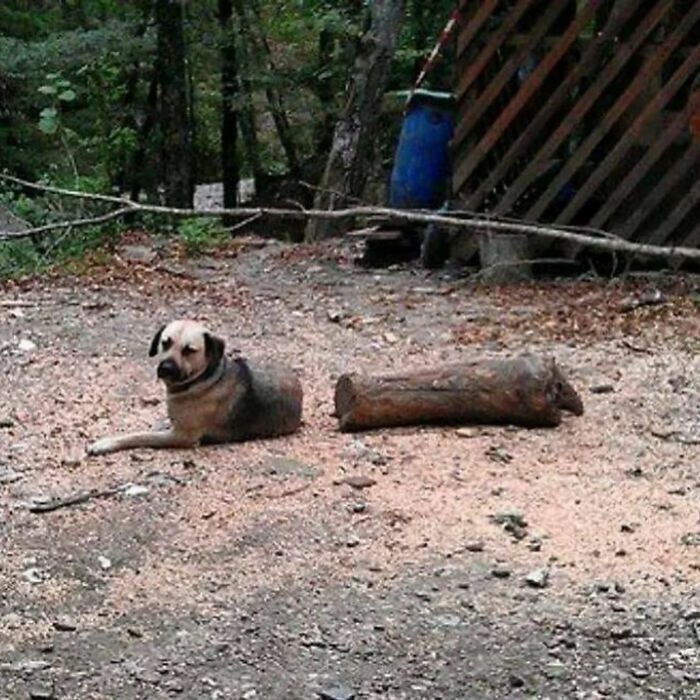Ready for a Wild Scroll? Check Out These Weird and Wacky Pics!