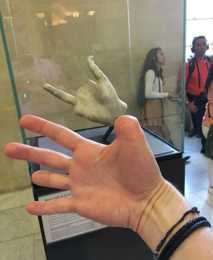 Ready for a Wild Scroll? Check Out These Weird and Wacky Pics!