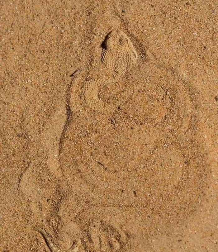Ready for a Wild Scroll? Check Out These Weird and Wacky Pics!