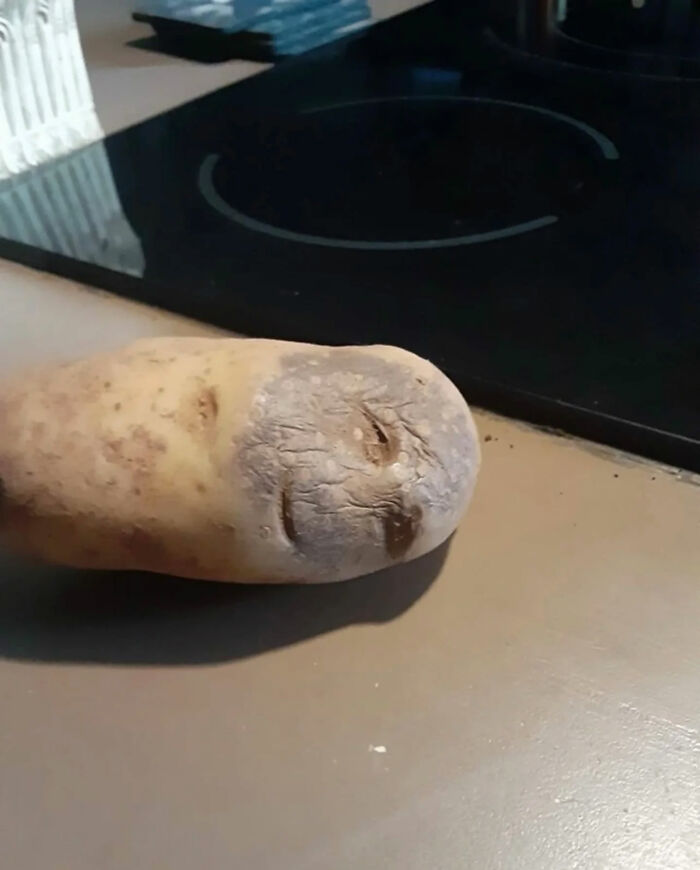 Ready for a Wild Scroll? Check Out These Weird and Wacky Pics!
