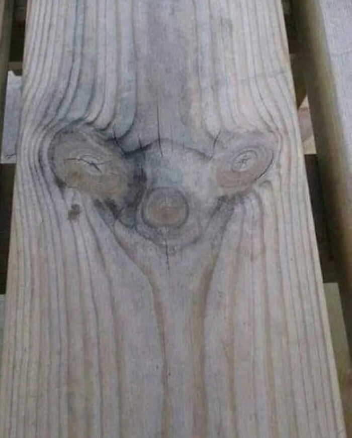 Ready for a Wild Scroll? Check Out These Weird and Wacky Pics!